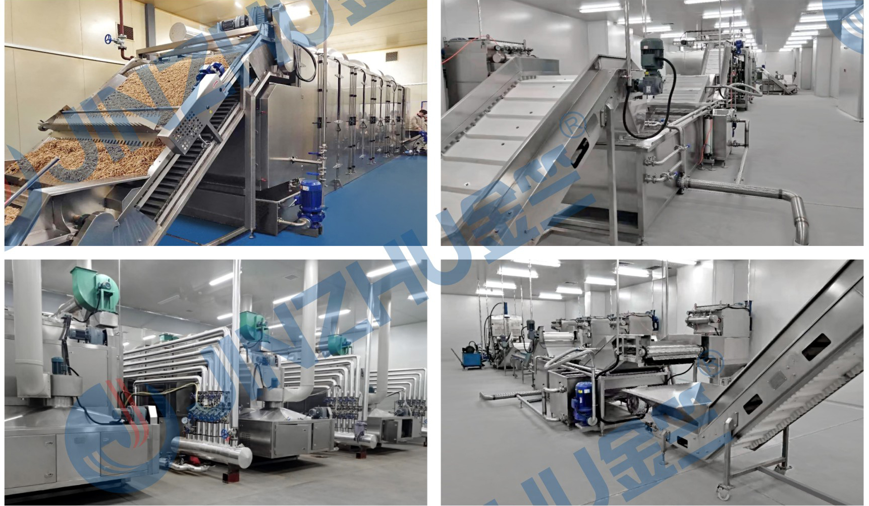 修正藥業集團中藥前處理項目